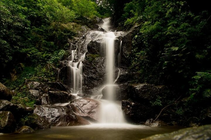 Half-Day Hiking in Pico Blanco Itzkatzú Trail - Photo 1 of 10